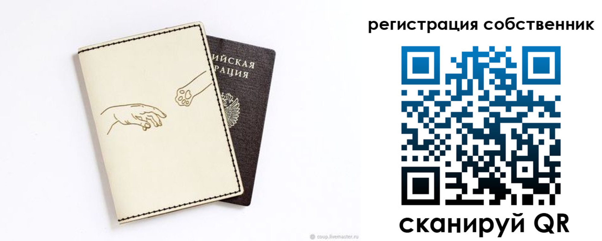прописка законно в Саратове